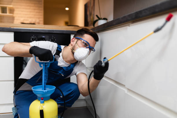 Best Residential Pest Control  in Belle Fourche, SD