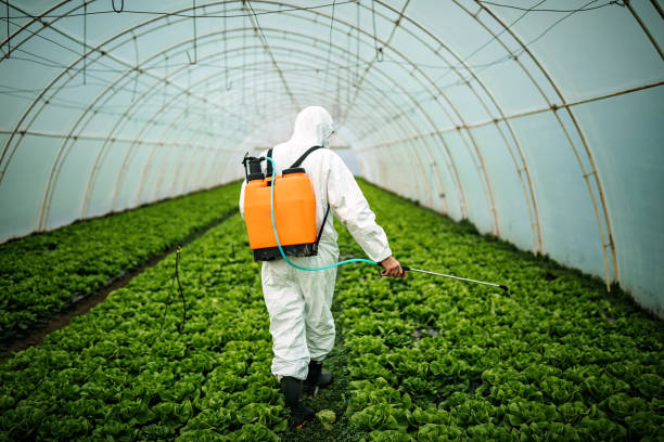 Best Mosquito Control Services  in Belle Fourche, SD
