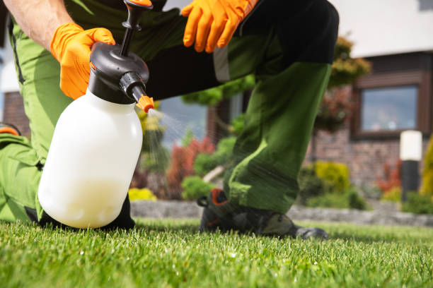Best Termite Control Services  in Belle Fourche, SD