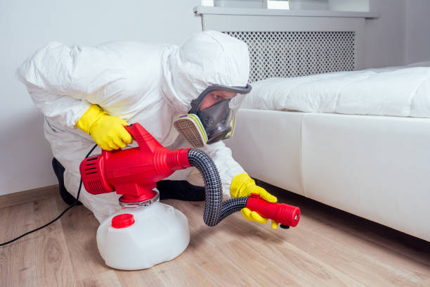 Best Pest Removal Services  in Belle Fourche, SD
