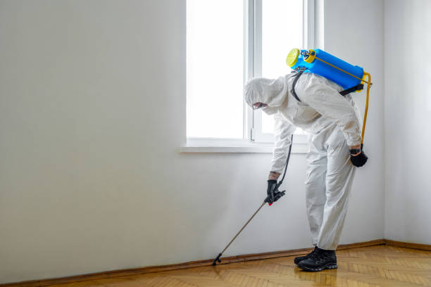 Best Best Pest Control Companies  in Belle Fourche, SD