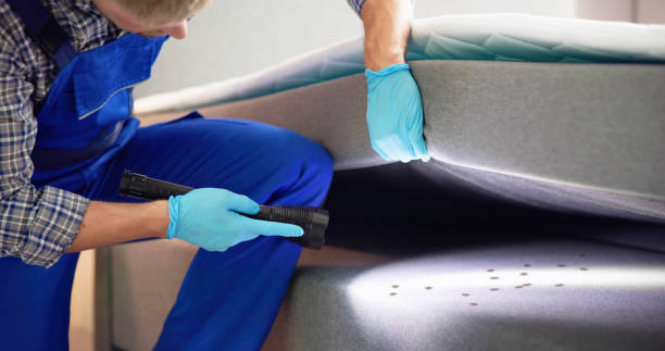 Reliable Belle Fourche, SD Pest Control Solutions