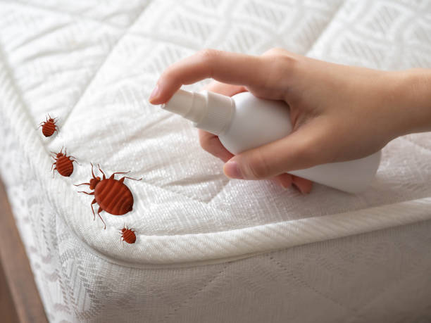 Best Commercial Pest Control Services  in Belle Fourche, SD