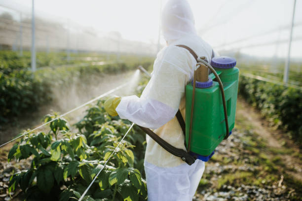 Best Pest Prevention Services  in Belle Fourche, SD